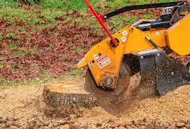 Best Soil Testing and Treatment  in Piedmont, OK