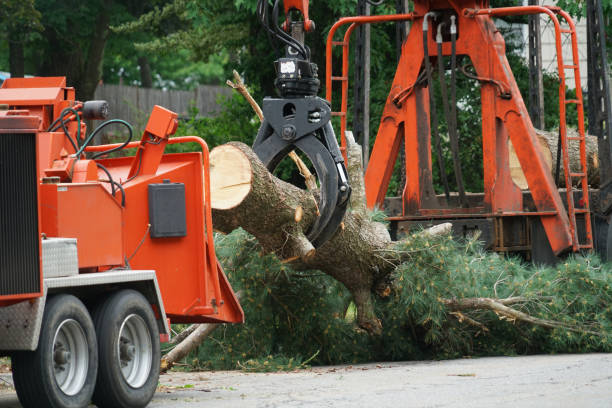 Best Storm Damage Tree Cleanup  in Piedmont, OK