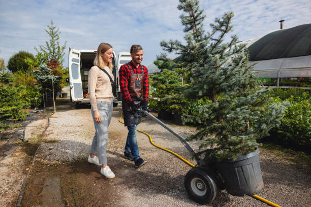 Best Lawn Maintenance Plans  in Piedmont, OK